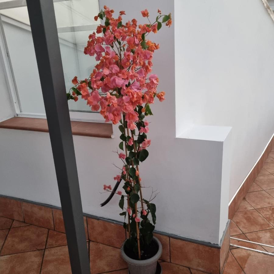 Santiago Del Teide Room 外观 照片